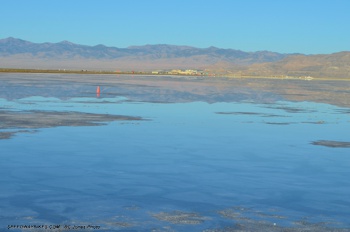 2016 Bonneville - RC Jones Photo